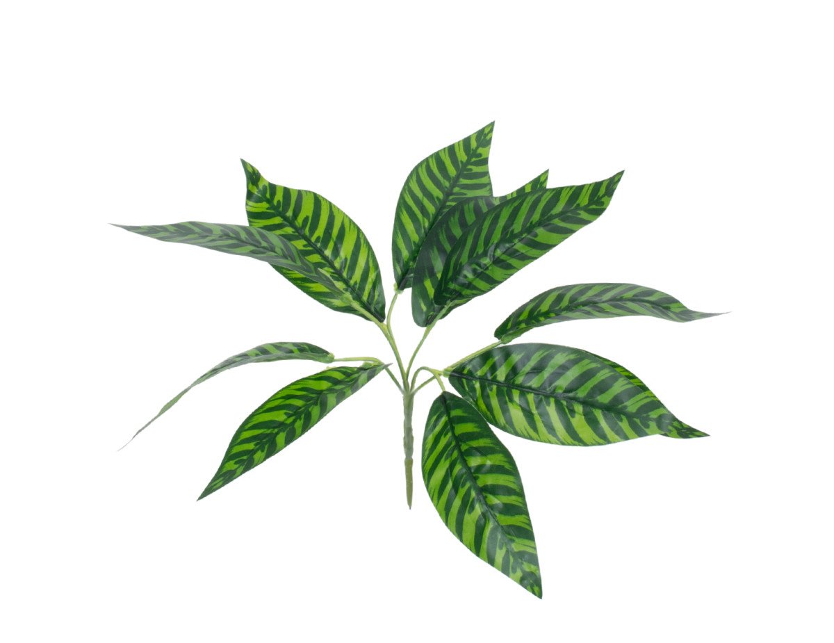 GloboStar® ZEBRA PLANT 78221 Τεχνητό Φυτό Ζέβρα - Μπουκέτο Διακοσμητικών Φυτών - Κλαδιών με Φύλλωμα Πράσινο Υ16cm