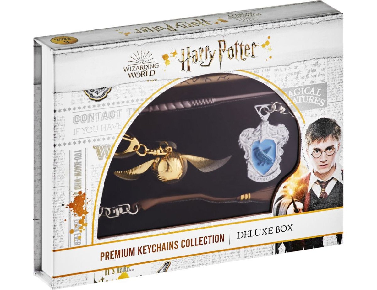 P.M.I. Harry Potter Metal Premium Keychains Collection - 6 Pack Deluxe Box (Random) (HP8550)