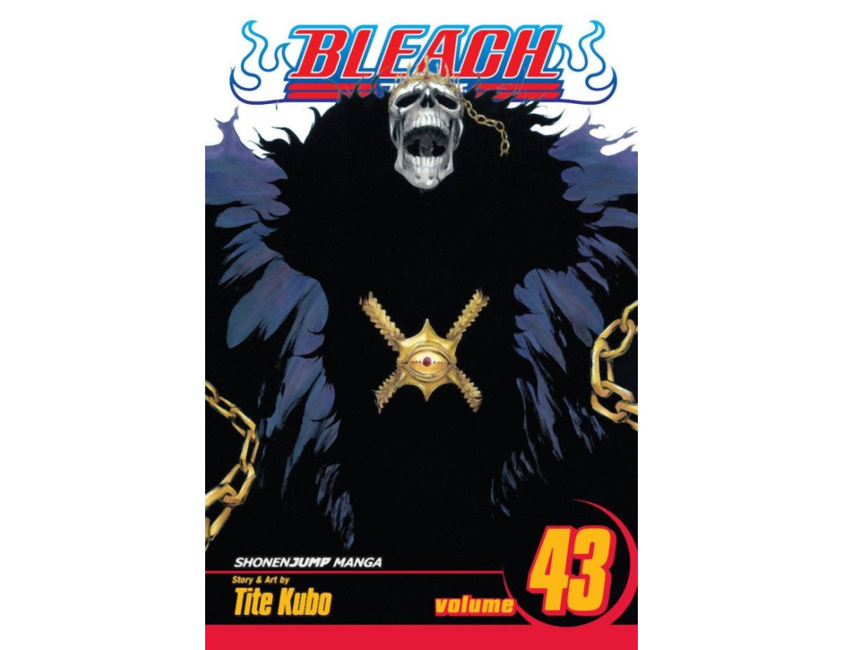 Viz Bleach Vol. 43 Paperback Manga