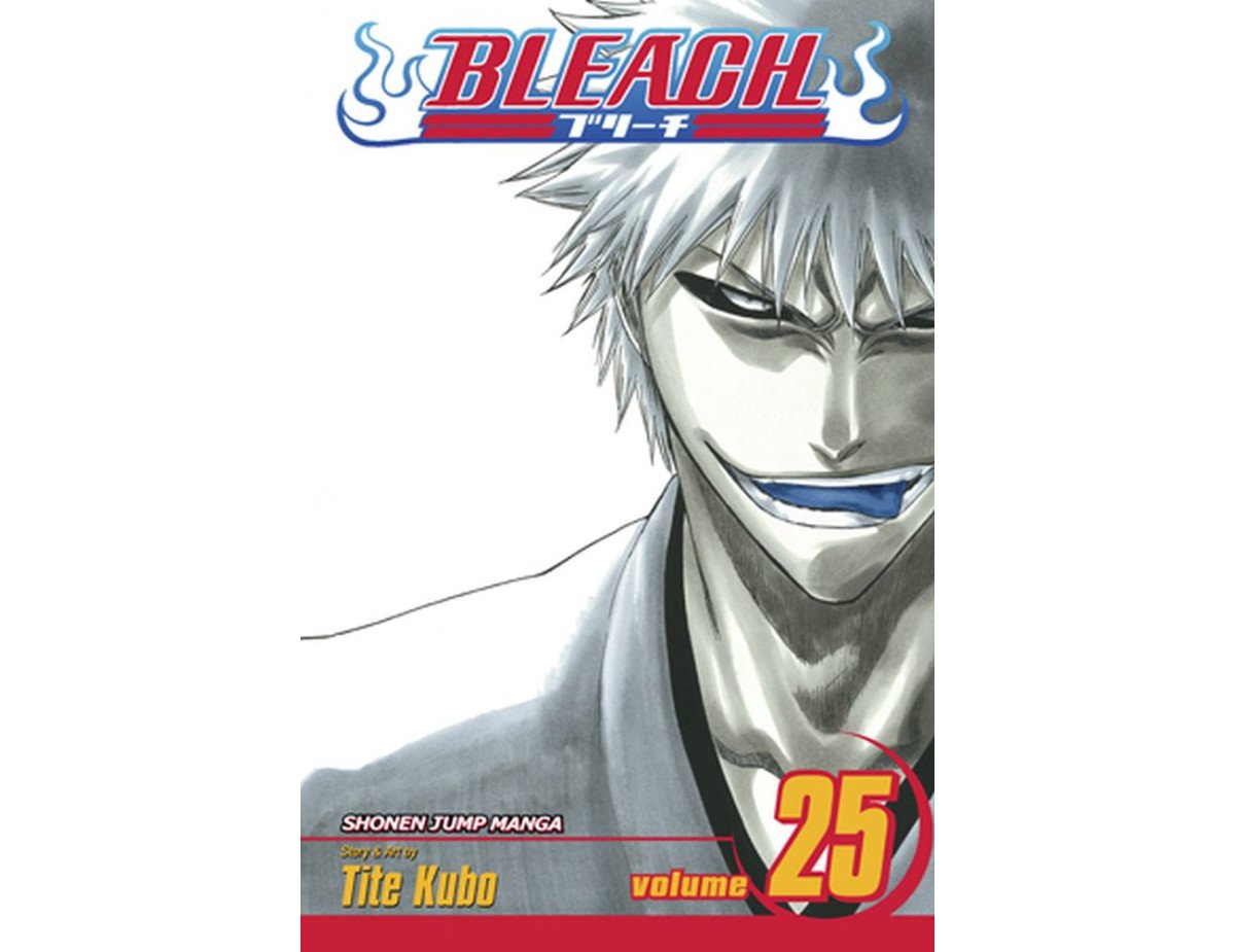 Viz Bleach Vol. 25 Paperback Manga