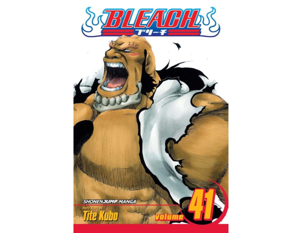 Viz Bleach Vol. 41 Paperback Manga