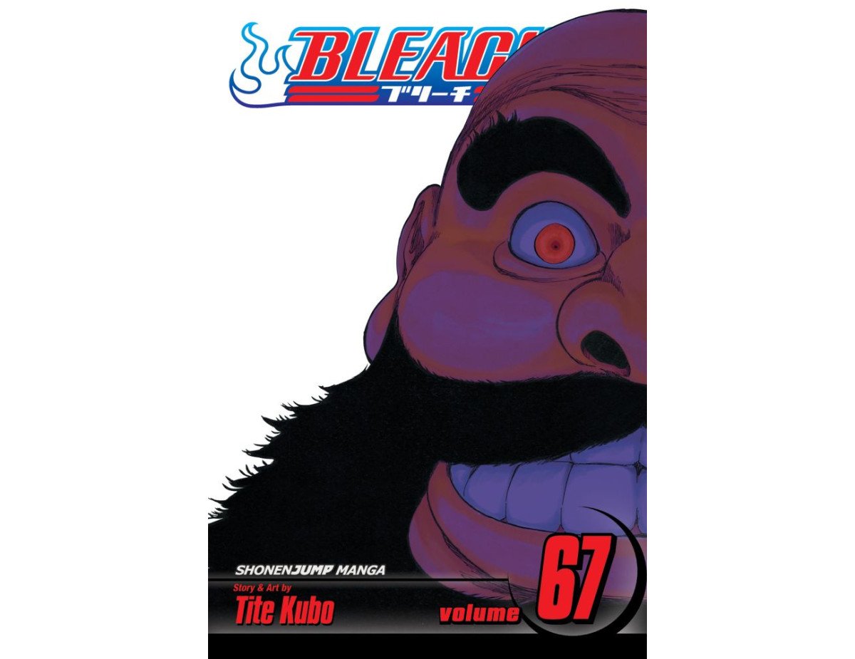 Viz Bleach Vol. 67 Paperback Manga