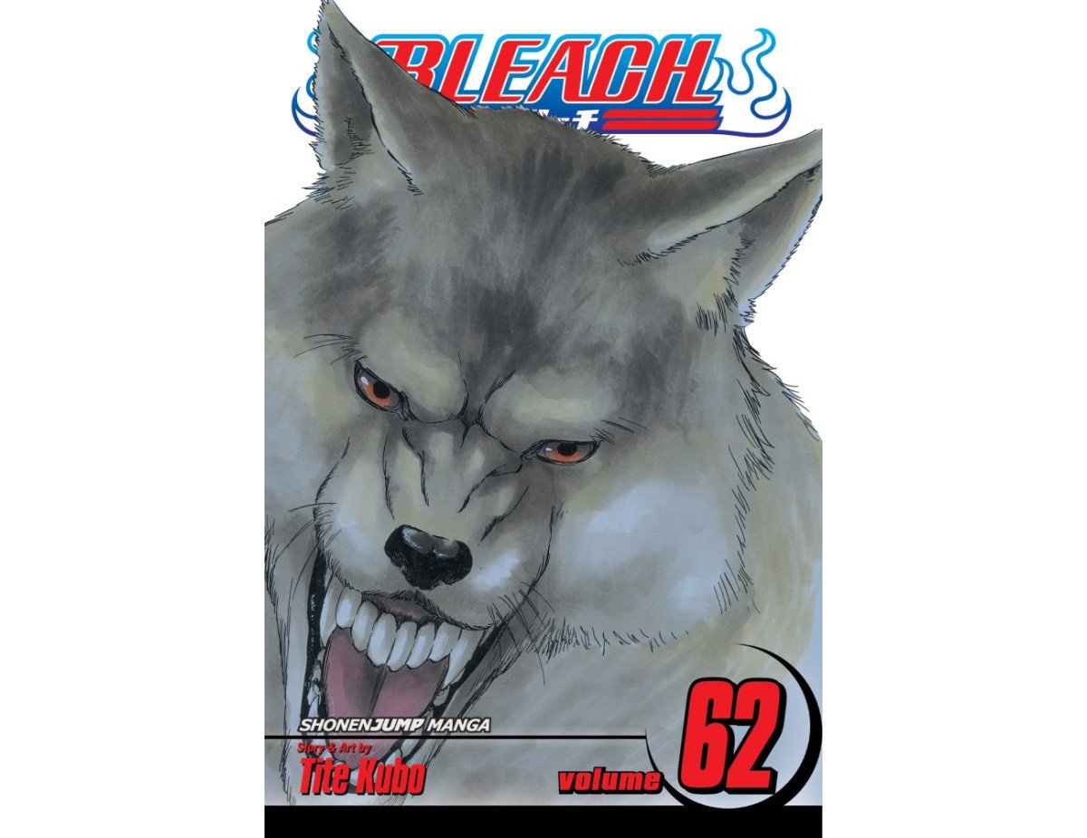 Viz Bleach Vol. 62 Paperback Manga