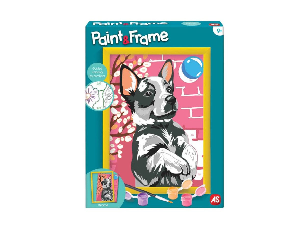 AS Paint  Frame: Playful Husky (1038-41013)