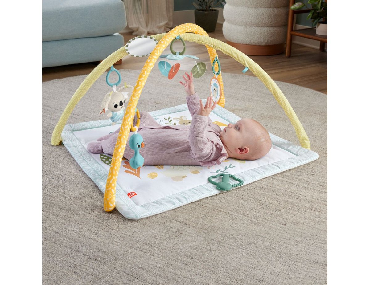 Fisher-Price® Simply Senses Newborn Gym (HRB15)