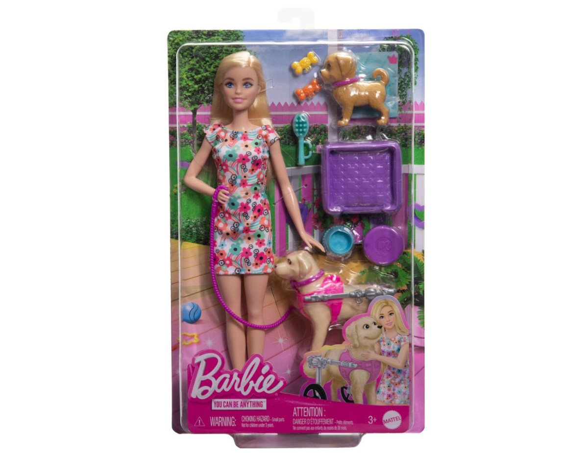 Mattel Barbie®: You Can Be Anything - Doll with Puppies and Pet Wheelchair Playset (HTK37)