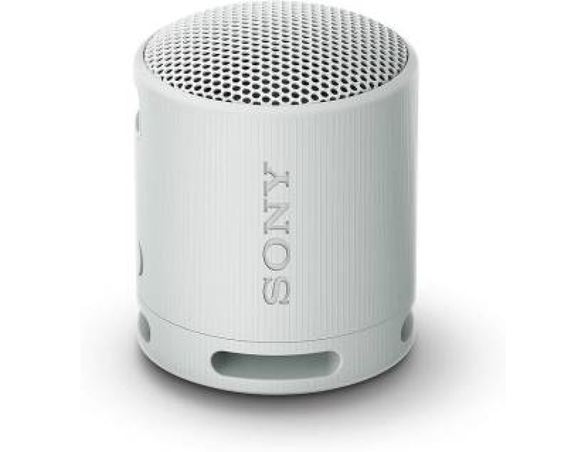 Sony SRS-XB100 Speaker Wireless Bluetooth Grigio