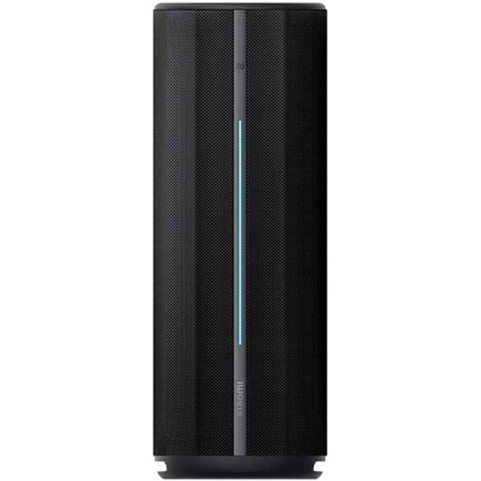 Xiaomi Outdoor Speaker Bluetooth 40W Black