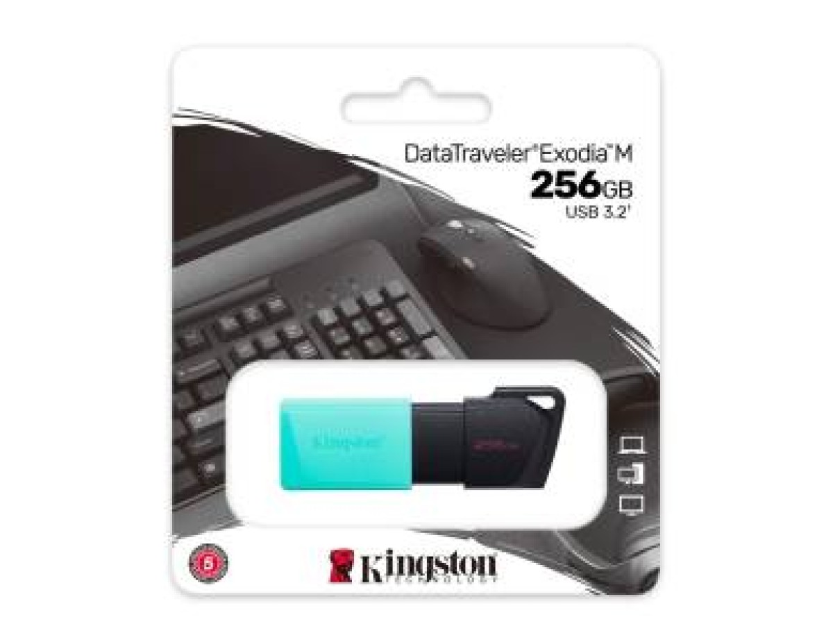 Kingston Pendrive USB-A 3.2 256GB DTXM/256GB Nero/Azzurro