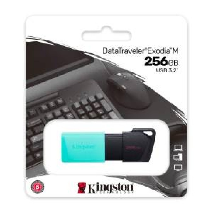 Kingston Pendrive USB-A 3.2 256GB DTXM/256GB Nero/Azzurro Kingston Pendrive USB-A 3.2 256GB DTXM/256GB Nero/Azzurro