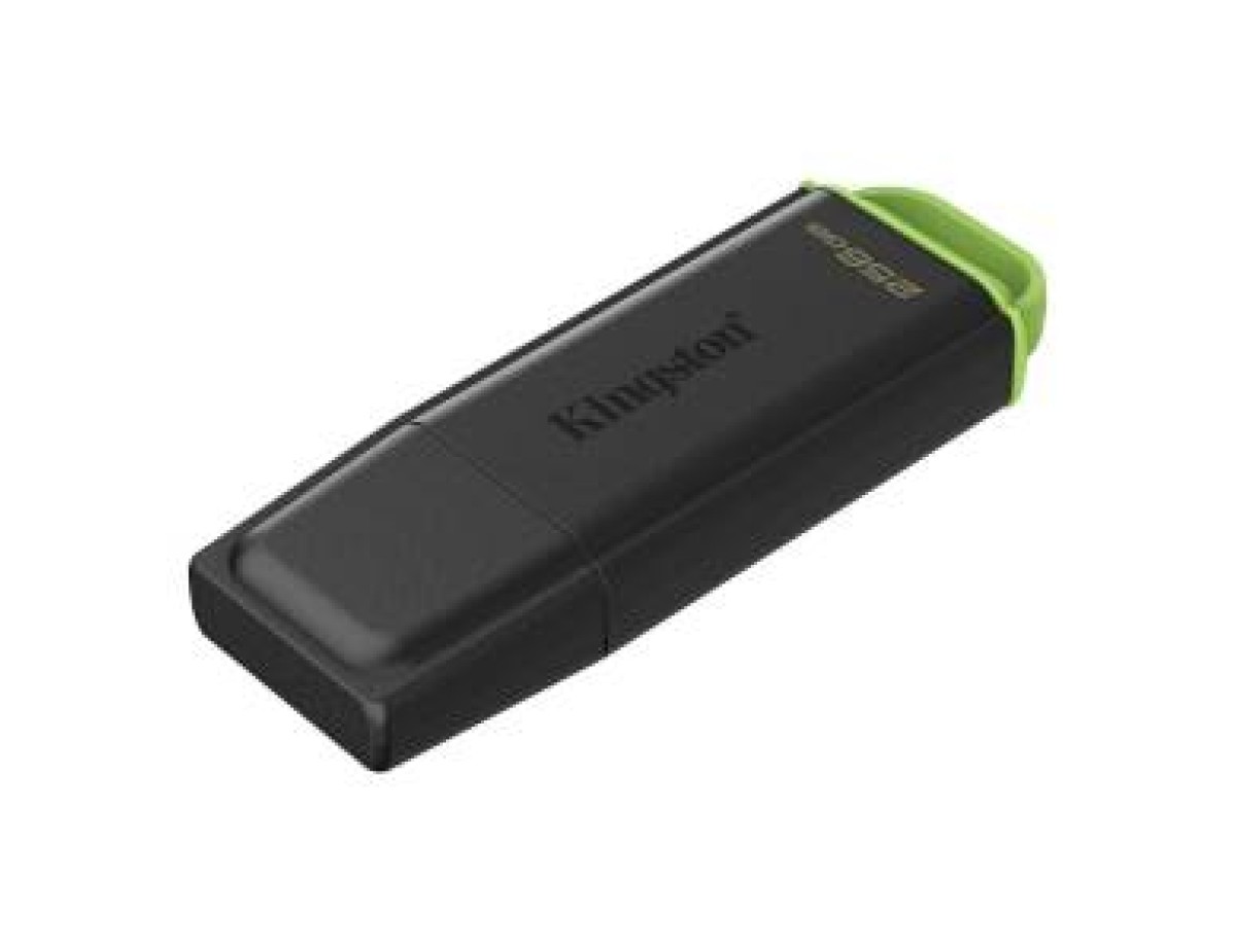 Kingston Pendrive USB-A 3.2256GB DTXG2/256GB Nero/Verde