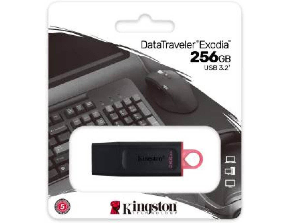 Kingston Pendrive USB-A 3.2 256GB DTX/256GB Nero/Rosa Kingston Pendrive USB-A 3.2 256GB DTX/256GB Nero/Rosa