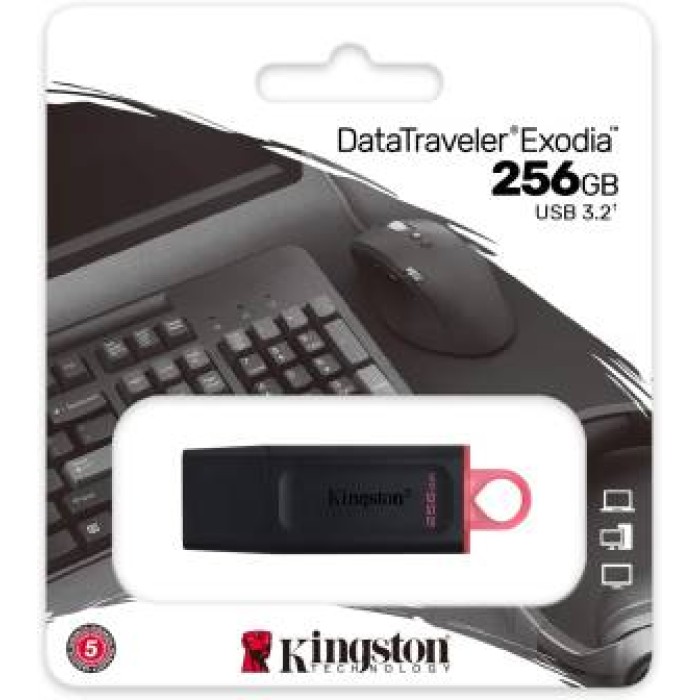 Kingston Pendrive USB-A 3.2 256GB DTX/256GB Nero/Rosa Kingston Pendrive USB-A 3.2 256GB DTX/256GB Nero/Rosa