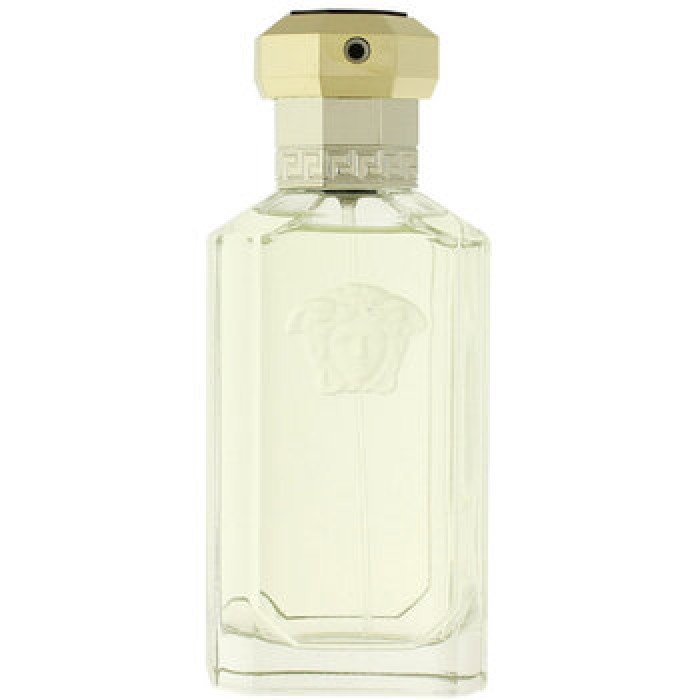 Dreamer EDT Tester-100ml