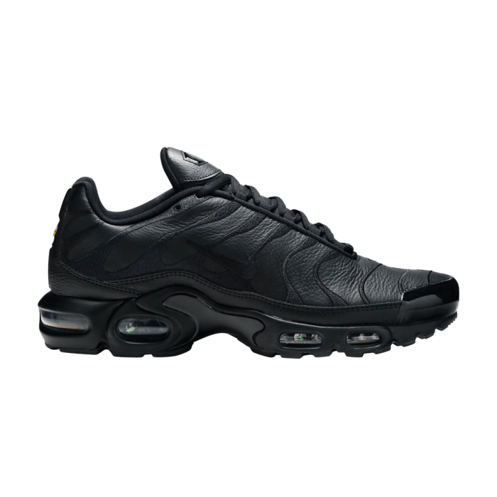 Nike Air Max Plus Triple Black Leather