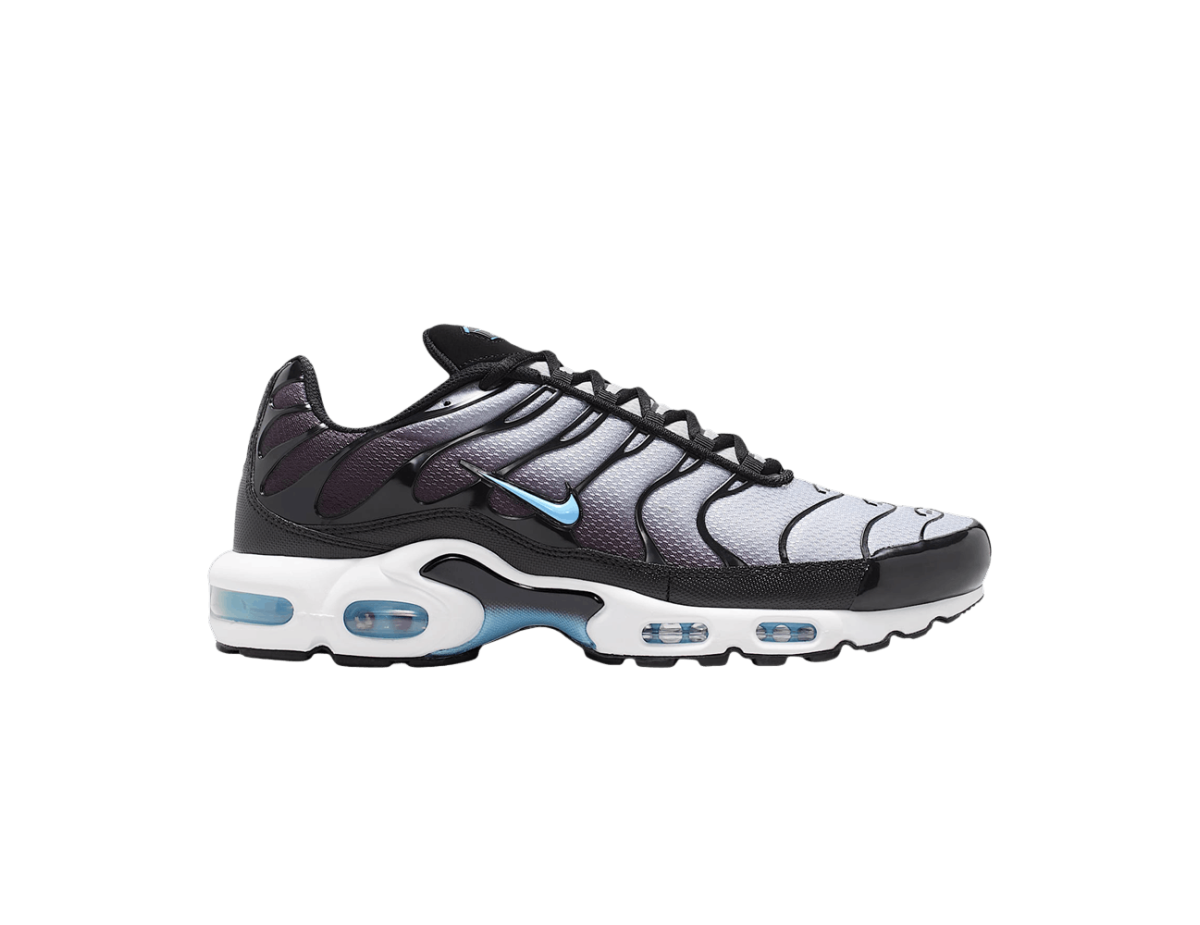 Nike Air Max Plus Black Light Smoke Grey