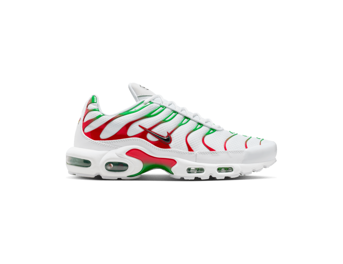 Nike Air Max Plus Italy