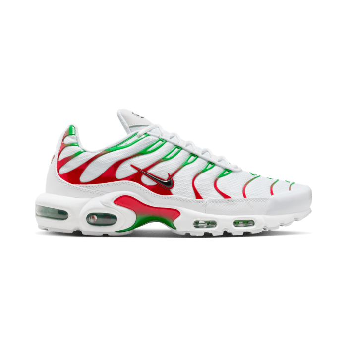 Nike Air Max Plus Italy