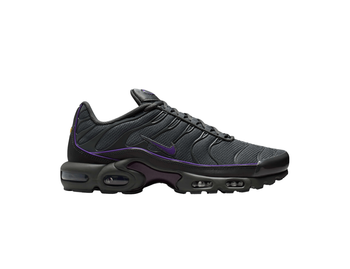 Nike Air Max Plus Iron Grey Wild Grape