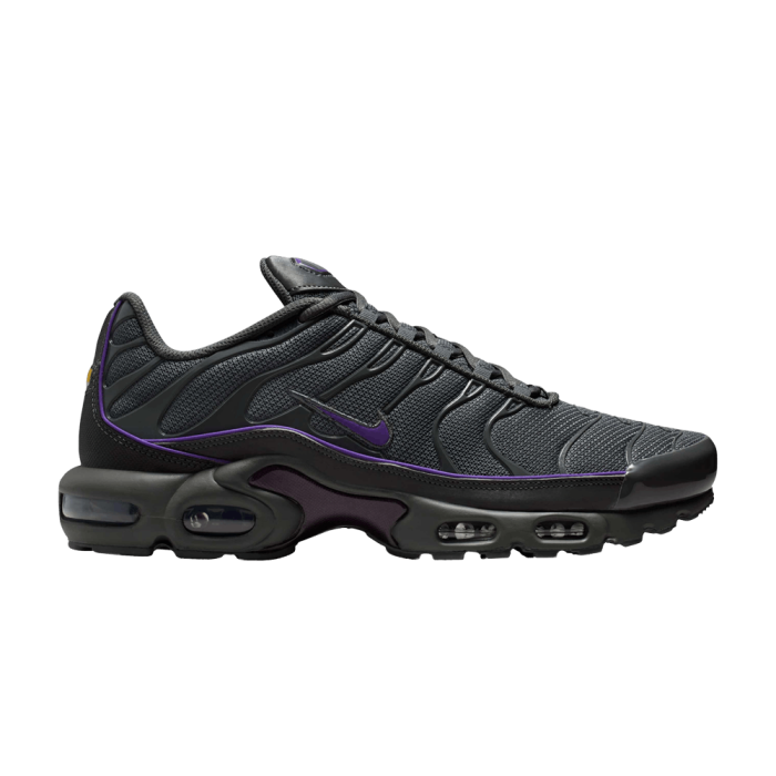 Nike Air Max Plus Iron Grey Wild Grape