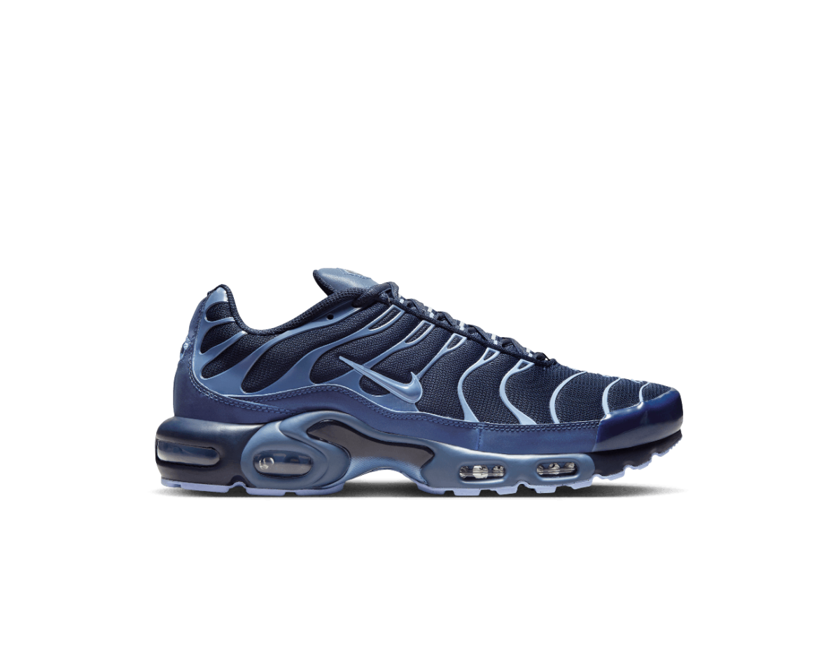 Nike Air Max Plus Obsidian Aluminum