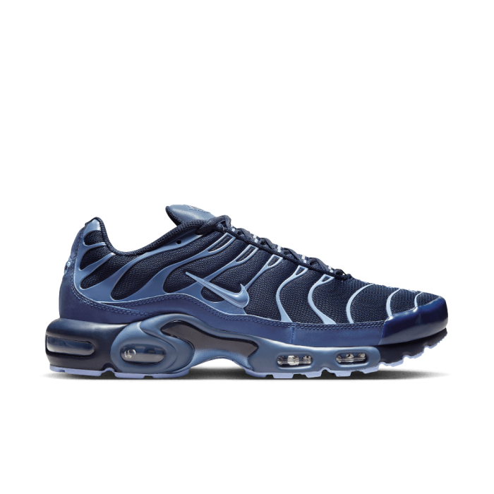 Nike Air Max Plus Obsidian Aluminum