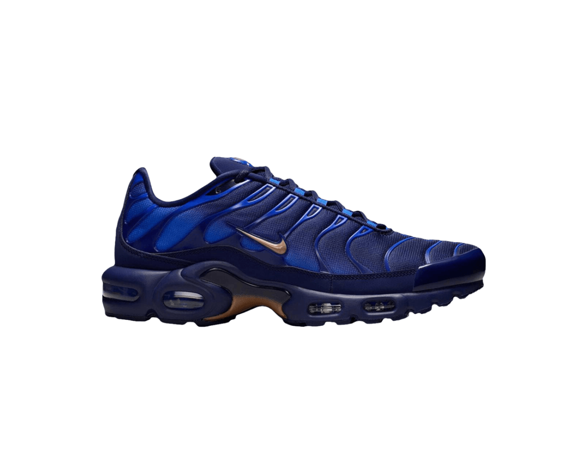 Nike Air Max Plus French Football Federation Nike Air Max Plus French Football Federation
