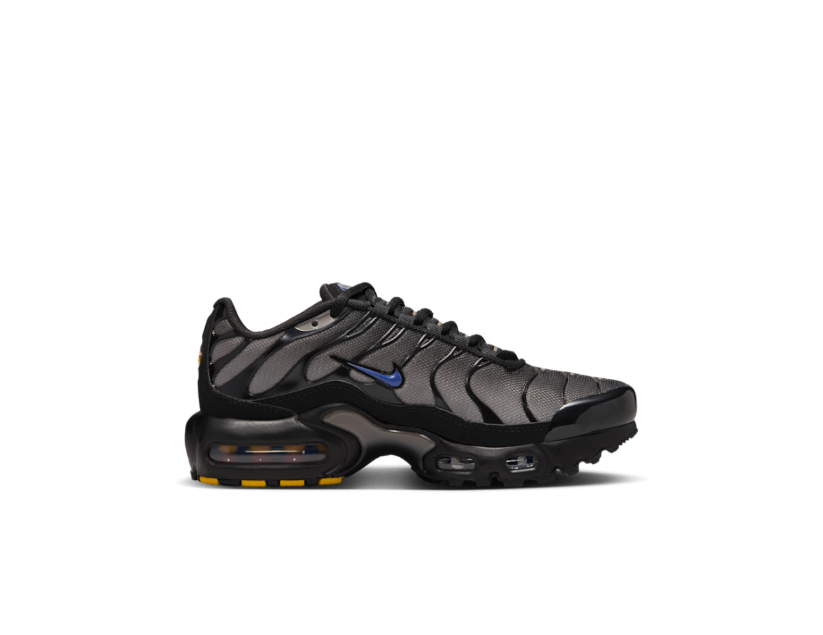Nike Air Max Plus GS Black Cave Stone